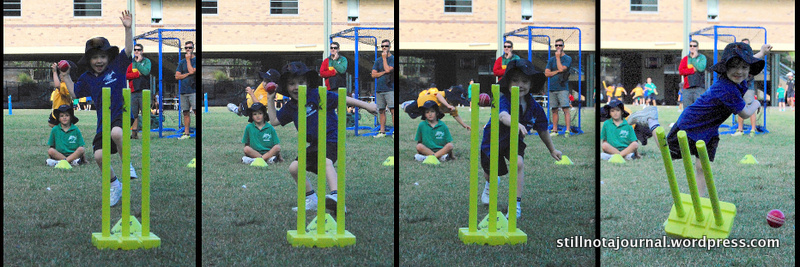 cricket, wicket, bowling, kids, sport