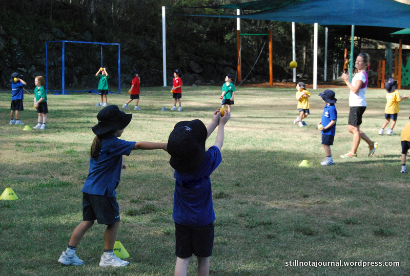 In2Cricket, cricket, catch, school