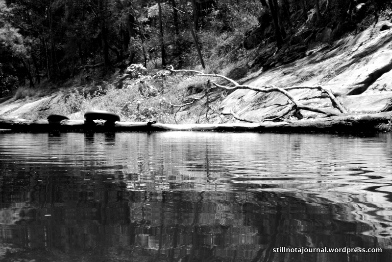 I passed the time by taking photos and occasionally yelling up helpful supportive comments to Justine such as “YOU SUCK!”