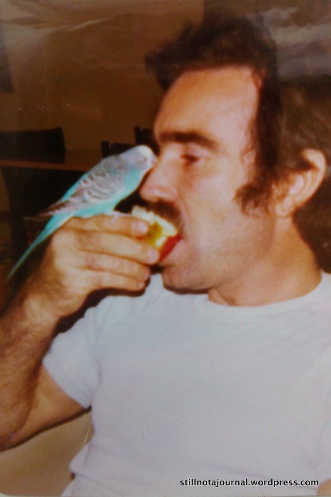 With our first pet, Bluey. Dad didn't mind sharing with a budgie; he also shared with two vultures...