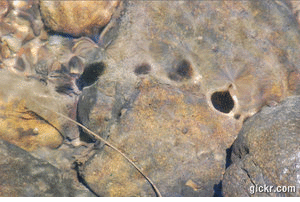 I really need to bring my tripod next time.