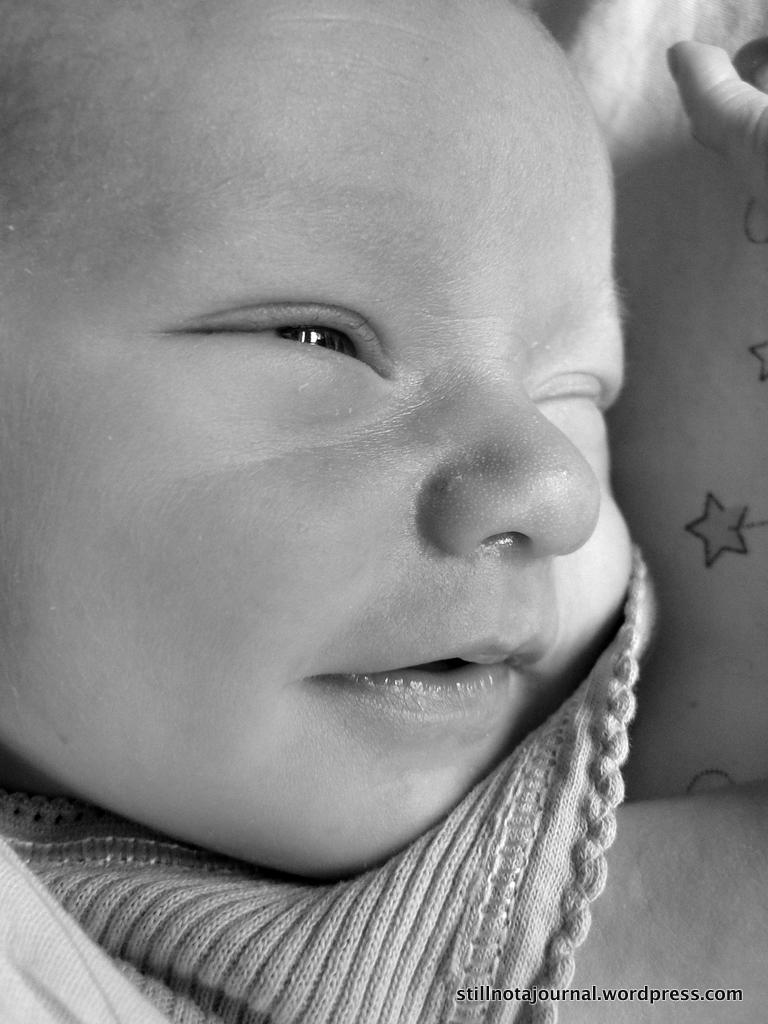 Boring 2 week old baby. Just lying there, bludging. ...hang on is he smiling? And winking? Is he smiling and winking? Photo by proud Auntie Justine. 