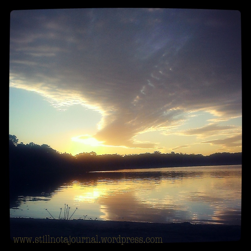 Lake Ainsworth, Lennox Head