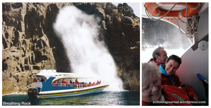 First pic obviously stolen borrowed from a Pennicott Wilderness Journeys brochure, and also obviously taken on a much calmer day than ours.