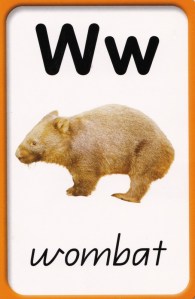 Possibly my spirit animal.