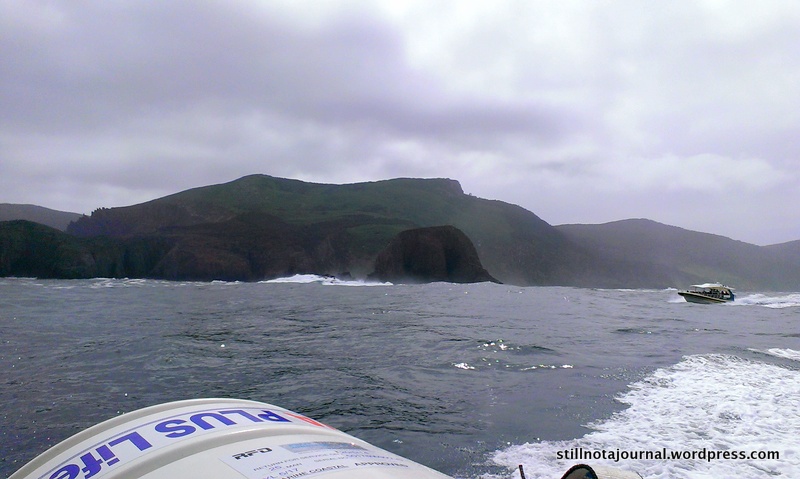 I FEEL THE NEED… the need... to spew.