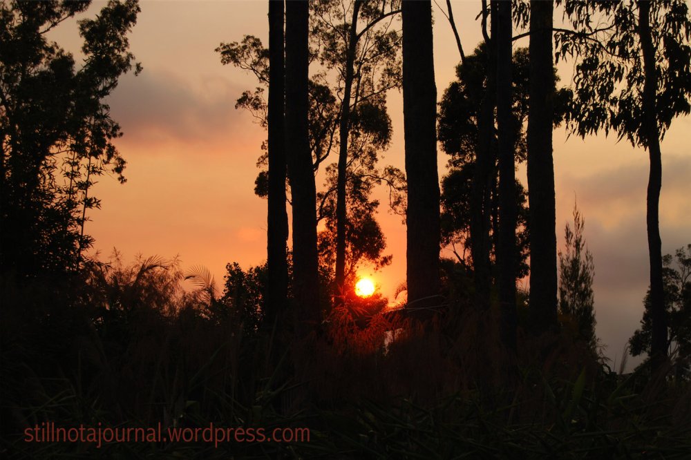 Oh. Okay, well, yeah. I DID want to see this!!