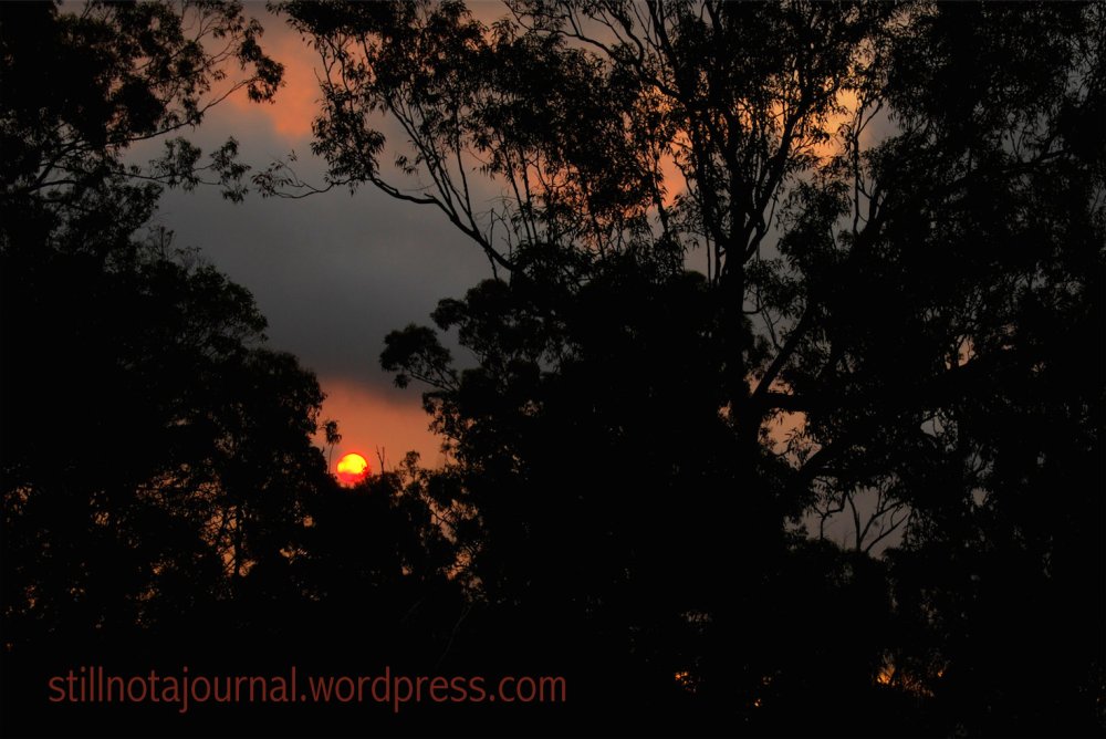 D'OH. Of course the sun sets further south in spring...