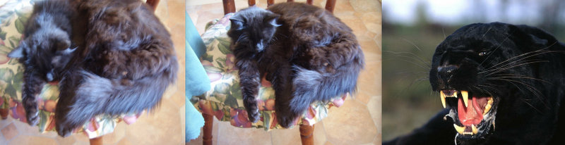 From asleep to awake and murderous in 0.18 seconds.