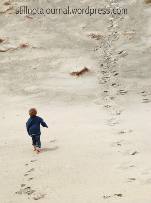 sand dune Smaills Beach