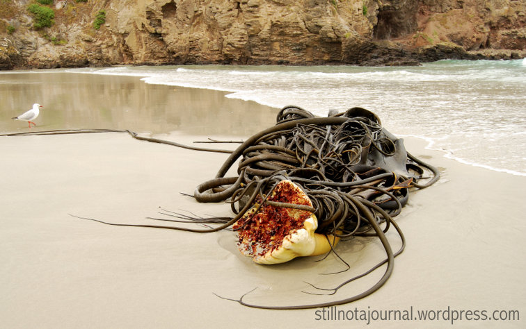 What. The hell. Is that.