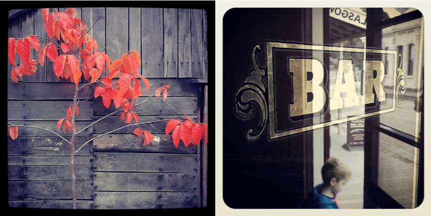 Autumn leaves, 'United States Hotel' bar.