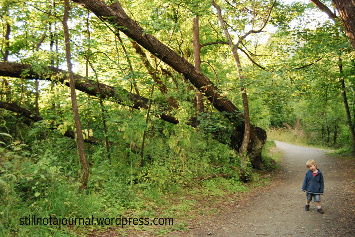 09 are we there yet.