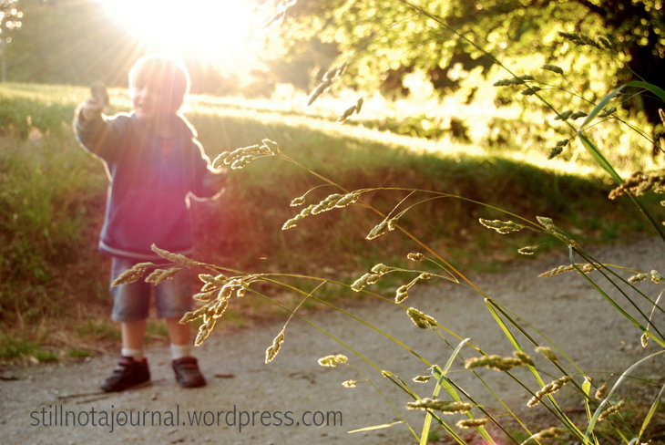 ... and causing 4 year olds to suddenly break out into song and dance. It's hardly Midnight Sun syndrome but daylight at nearly 10pm in summer certainly had an adverse effect on the boys' bedtimes.