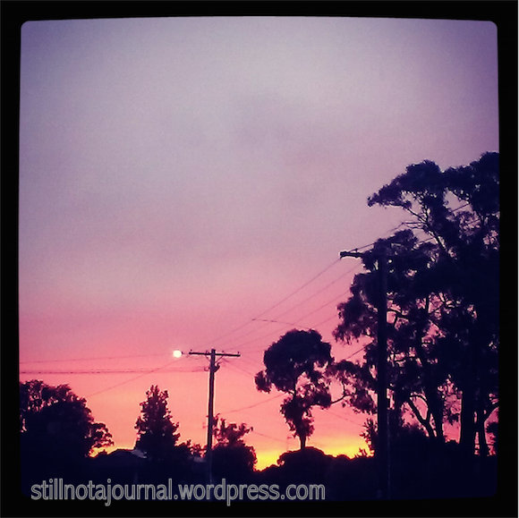 I scared the shit out of Justine by suddenly bolting out of the house, out the garden gate and up the street to get this shot. She chased after me and yelled "where's Rory?!" Poor thing thought he'd done a runner.