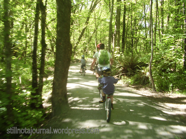 I loitered behind a lot today because it made it easier to get photos of the boys one-handed with my little old point-and-shoot. It wasn't at all because I was really unfit and dying in the arse most of the time. Nope.