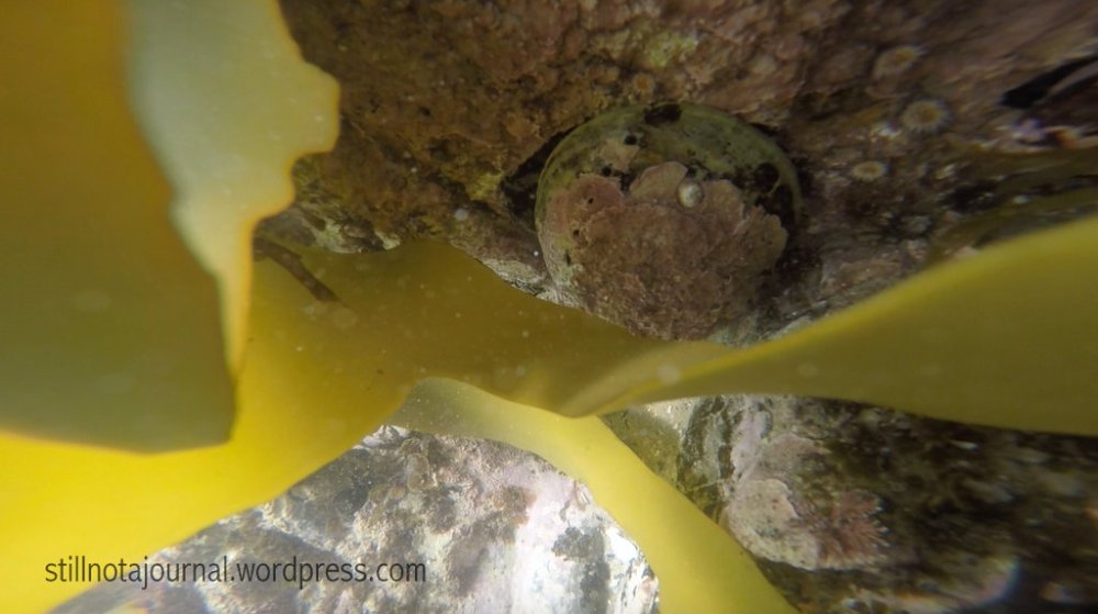 Aww look at him. Isn't he delicious?