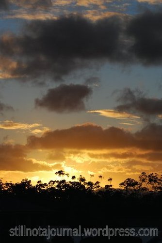 New and Improved: Got this sunset on the drive home after the Bluedog course. Pictures speak louder than reviews!!