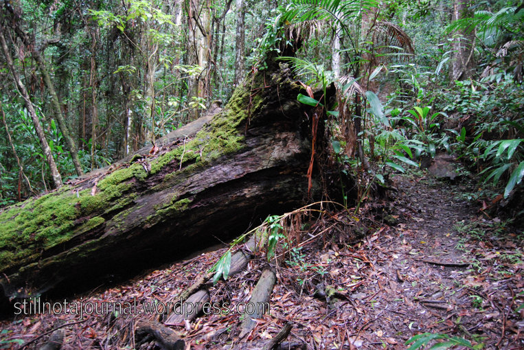 Phew, that was lucky - what if it'd fallen the other way?