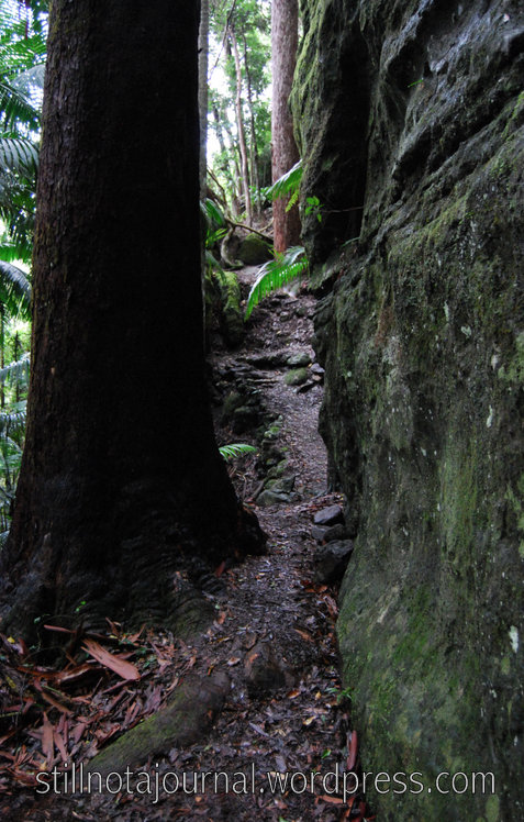 Between a rock and a big drop.
