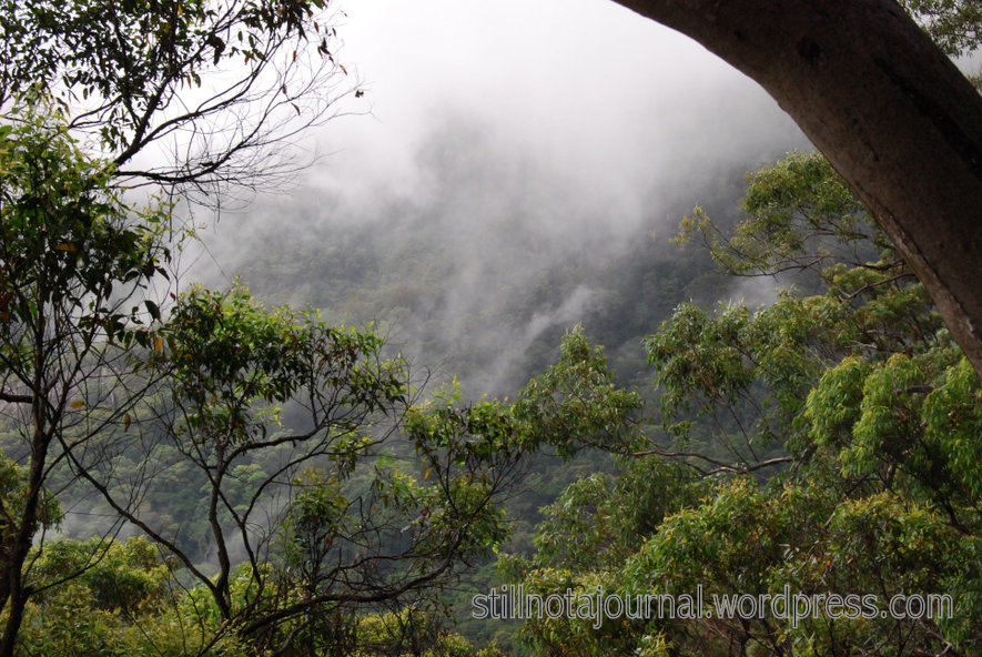 The misty mountains. Slightly inaccurate maybe, but 'Foggy Hills' just doesn't cut it.