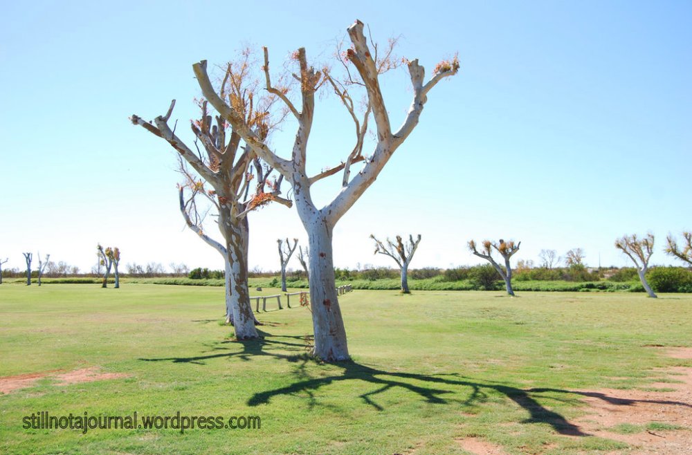 Cyclone Don has also been through here by the looks of it Mum...