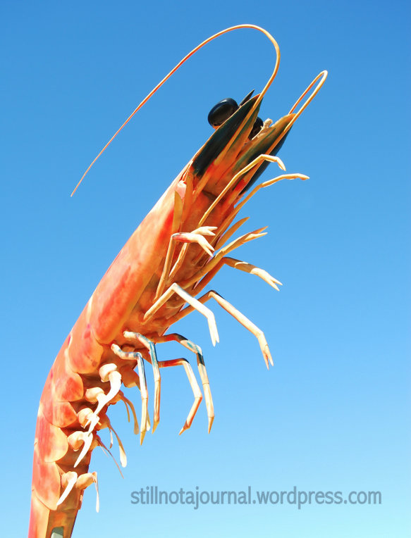 Don't come the raw prawn with me! He'll eat your face off!