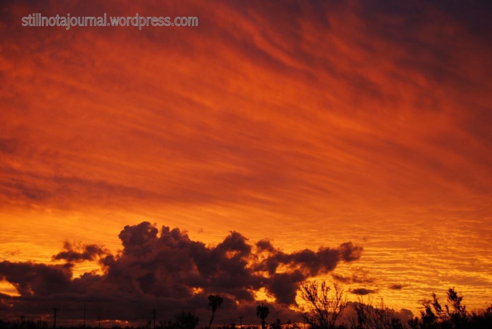 This little sailor is delighted!