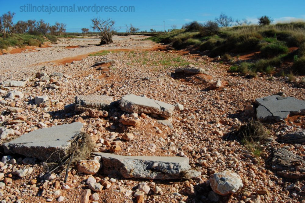 Roads? Where we're going we don't need... roads. At least, not that one.