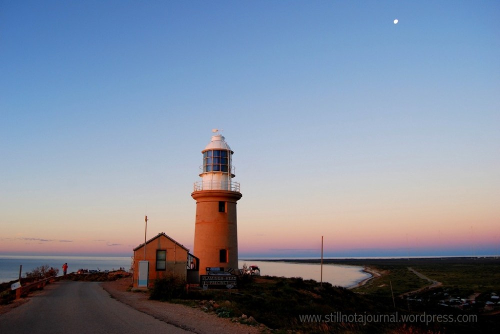 That soft pinkorangeyellowblue is the quintessential 'Gascoyne midwinter evening' for me. The nights are crystal clear and cool but not cold, and the days warm and clear. So clear!