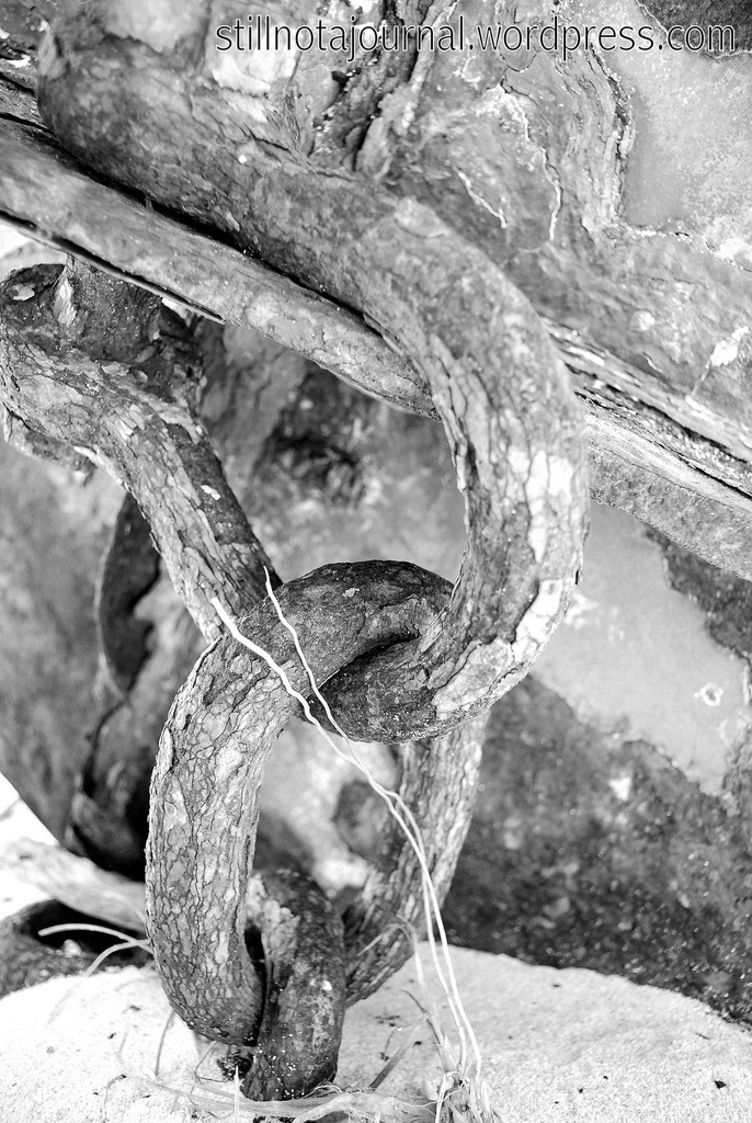 Jurabi Beach; a graveyard for both a reef and a wreck.