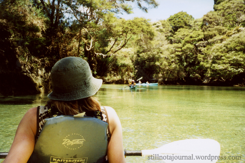Shag Harbour, Abel Tasman National Park