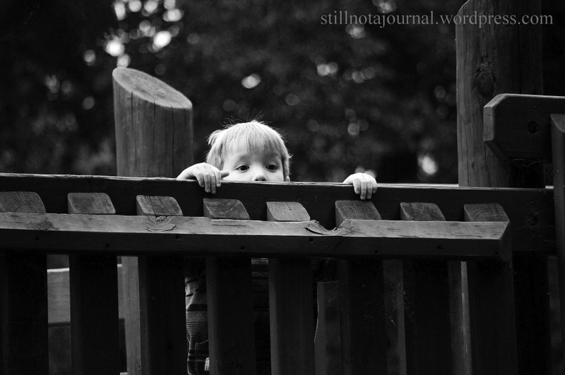 Roars on the lookout.