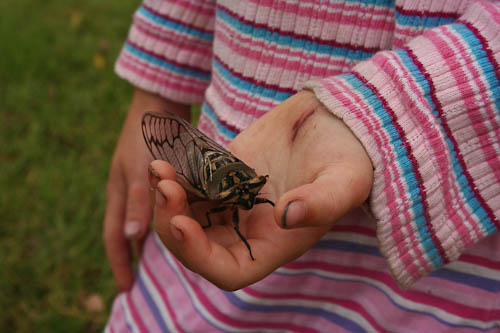 "Is this the toilet?" Image from Sparkling Adventures.com