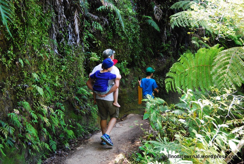 Halfway up the 3rd hill J carried Roars a bit, then when we hit the downhill again he bolted off ahead.