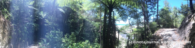 Discovered the panorama option on my phone camera!