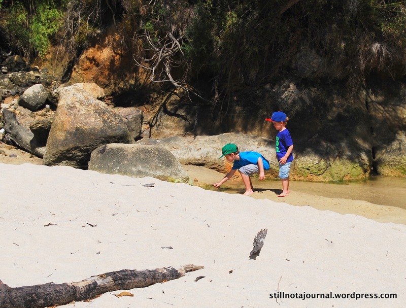Abel Tasman NP Medlands Beach