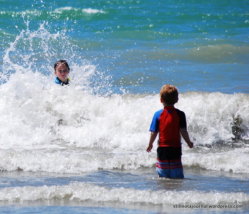 Rabbit Island New Zealand
