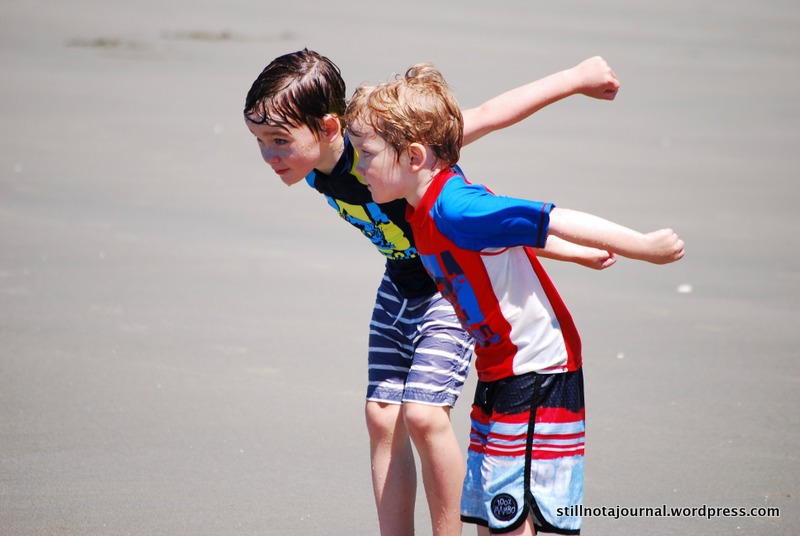 Rabbit Island Moturoa NZ