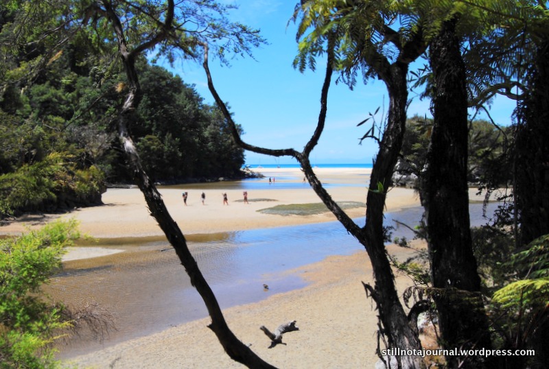 Trampers crossing at low tide. Tides in the Abel Tasman are between four and five metres - I don't care how waterproof your boots are, you can't walk this at high tide!