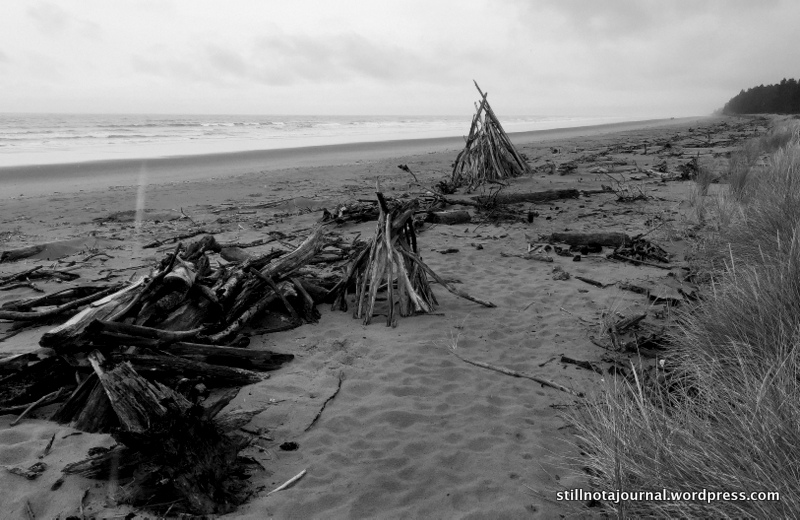 Kiwis seem to love piling things... stacked driftwood on the beaches, rocks in the fields, All Blacks in the scrum...