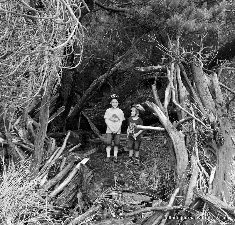 Stopped off for a wee and found a wee cubby. The grasses were all dripping and made my arse wet. Natural bidet?