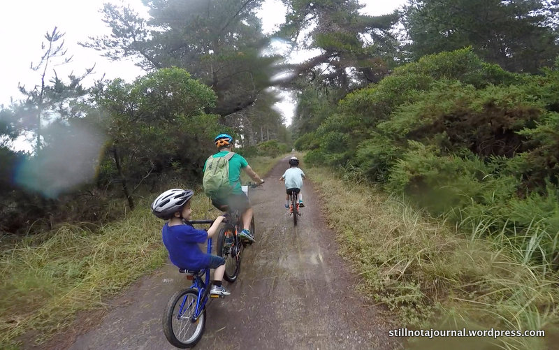 The beach was only a few dozen metres away, peeking from between the trees.