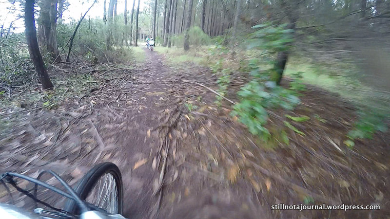 We did about 5 or 6 laps of the place.