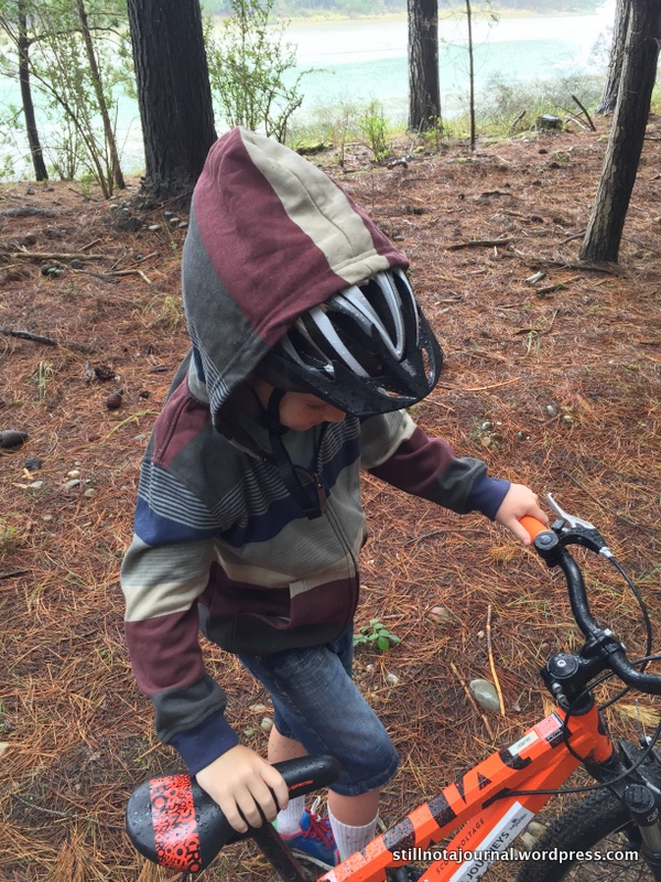 More rain so hoodie up. If you saw him from the back you'd think he was a Conehead.