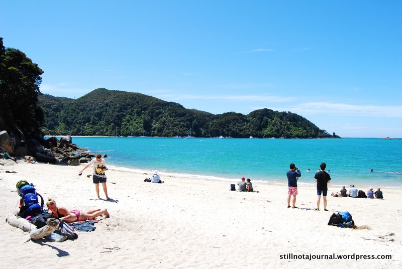 Medland's Beach, Abel Tasman National Park NZ