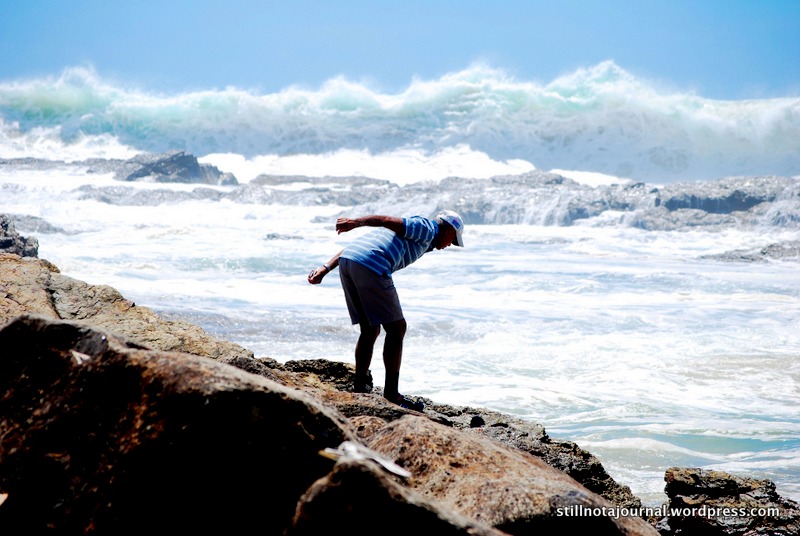 It looks like he's about to jump in but he'd just lost his balance a bit. Besides, the rocks would've broken his fall.