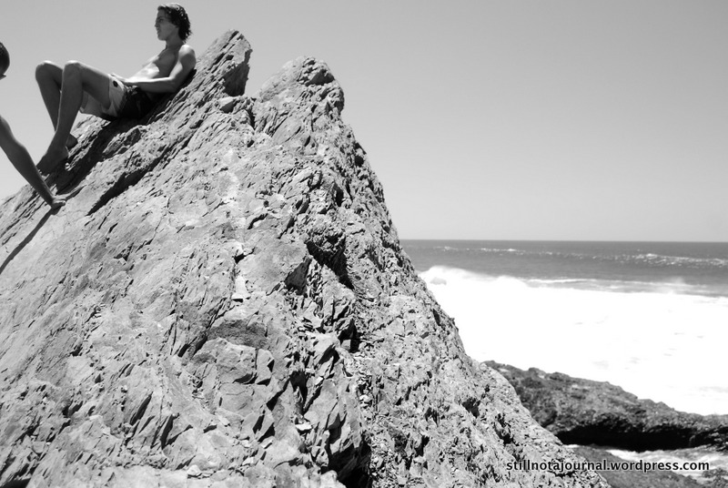 I can't wait til Finn and Roars are old enough to climb up with me. Maybe when they're as old as this lad.