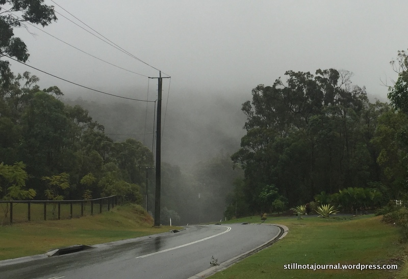 Towards the misty rain-cloaked hills of the Hinterland. Visibility was less than 200m all day.