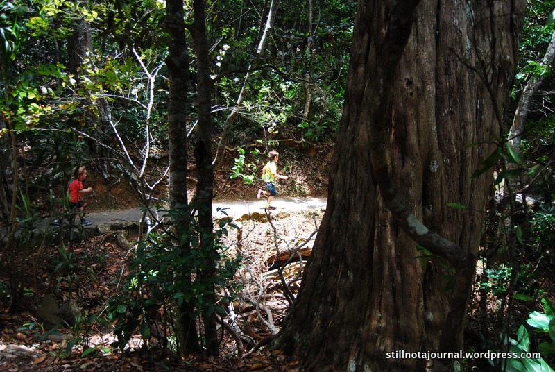 03 Burleigh Headland Walk Oceanview Circuit